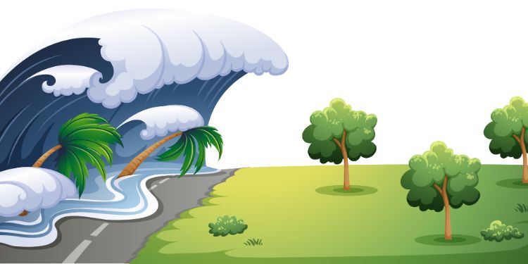 International Marine Science Journal - wind and waves