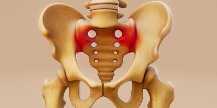 Journal of Sports and Exercise Medicine - sacroiliac joint dysfunction